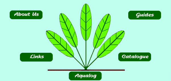 Aquagreen, Home of native Australian water plants for your aquarium.