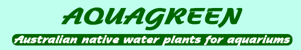 Aquagreen, Home of native Australian water plants for your aquarium.